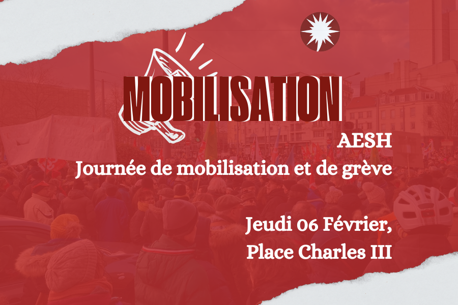 AESH : Journée de mobilisation et de grève pour les 20 ans de la loi “handicap”